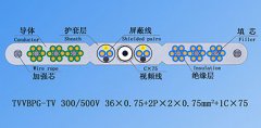 扁平絞合型排列帶屏蔽、鋼芯和視頻線電梯電纜